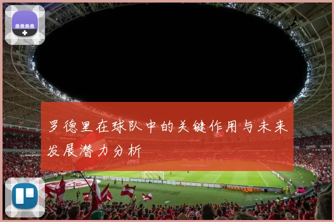 罗德里在球队中的关键作用与未来发展潜力分析